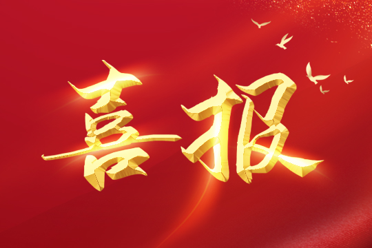 喜报 | NG大舞台荣登2024粤港澳大湾区企业创新力榜单